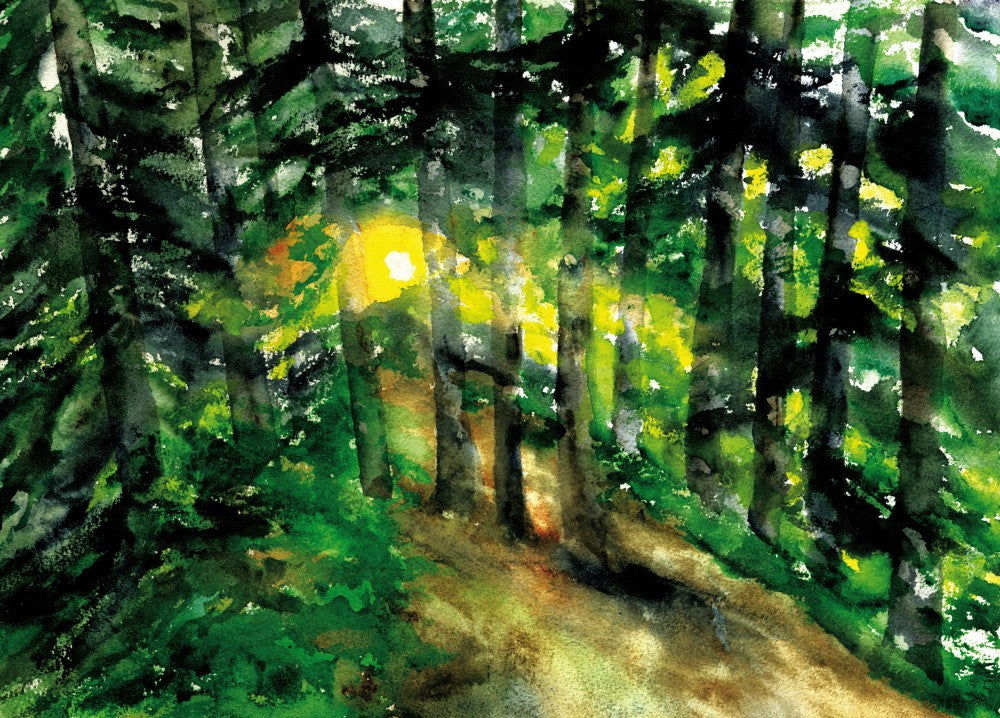Forest Clearing