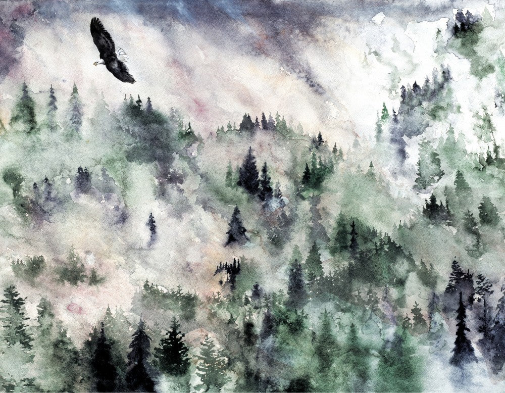 Raincoast Flight