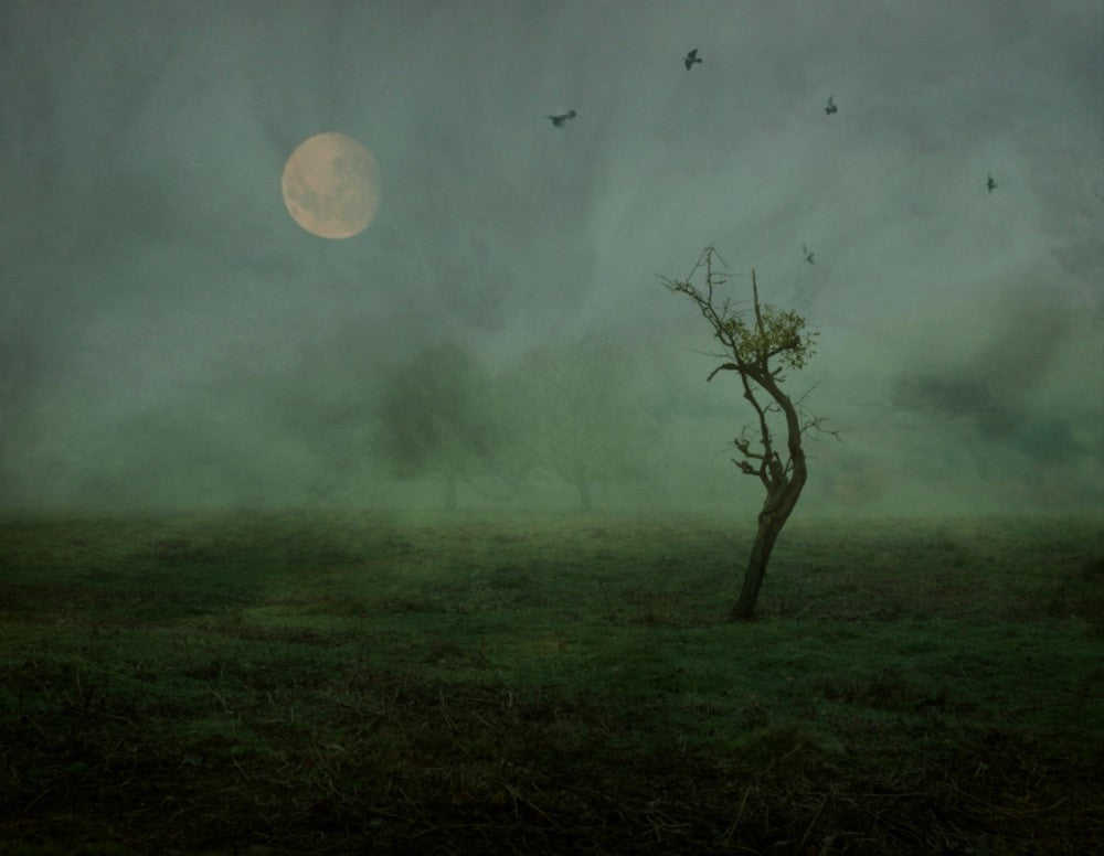 The Lost Morning