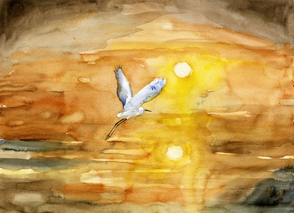 Into the Light