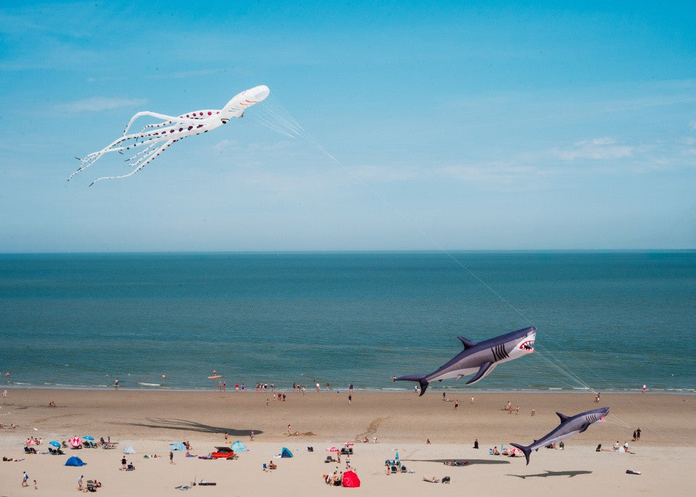 Vie Marine sur une Ficelle
