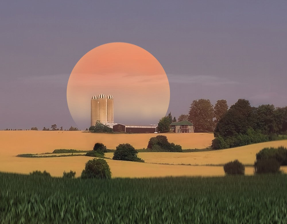 Golden Field