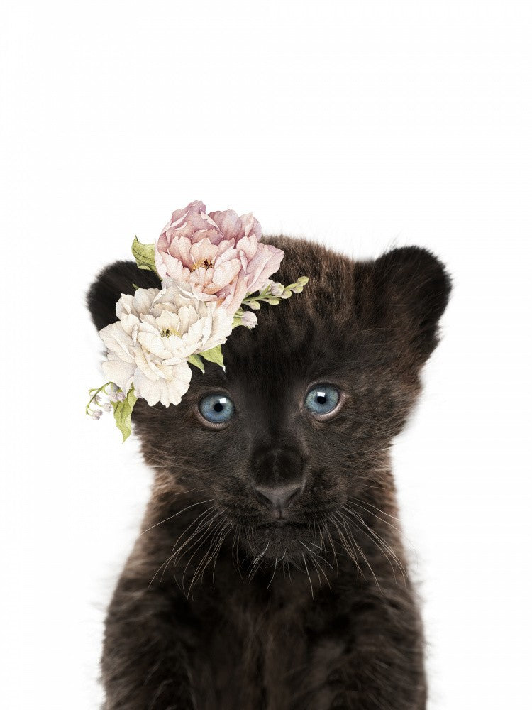 Floral Baby Panther