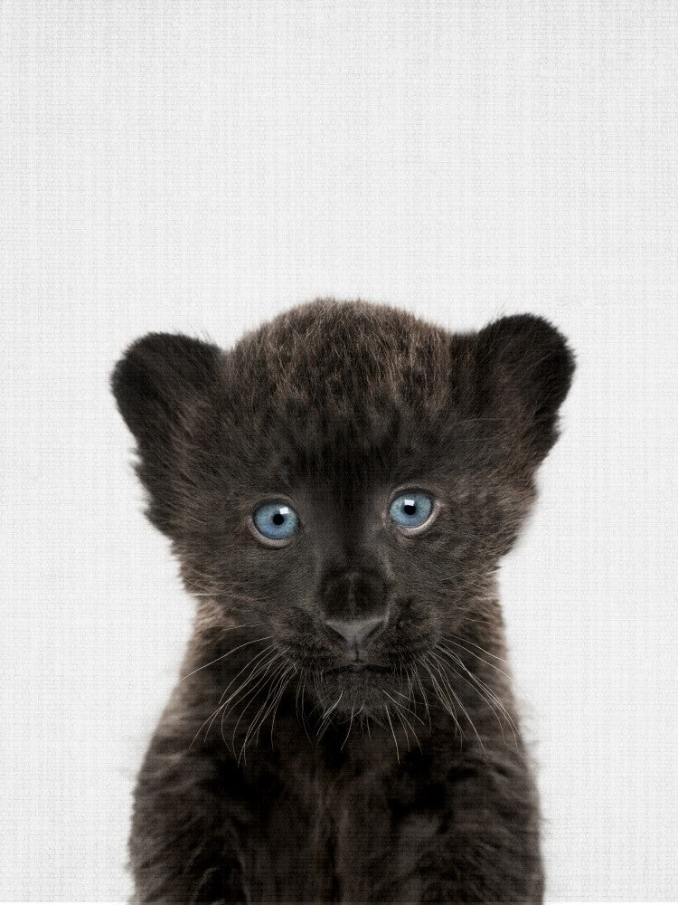 Peekaboo Baby Panther