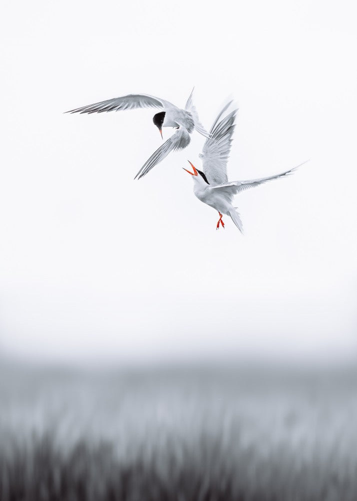 Conflict in the air II