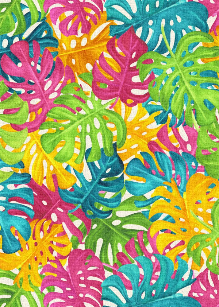 Rainbow Monstera