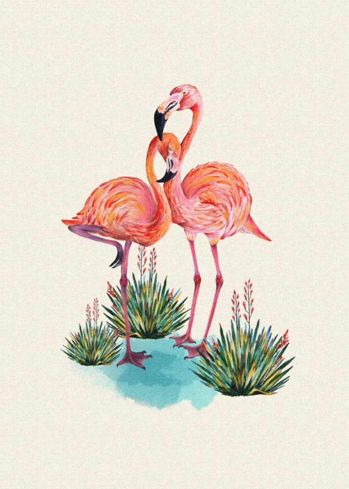 Flamingo