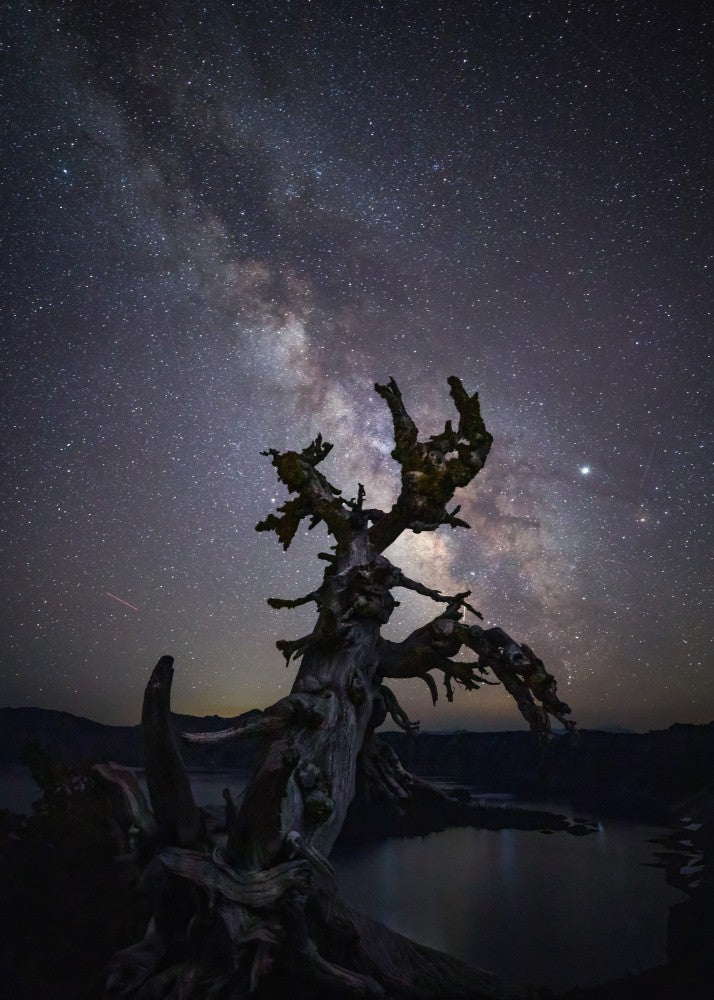 Milky Way
