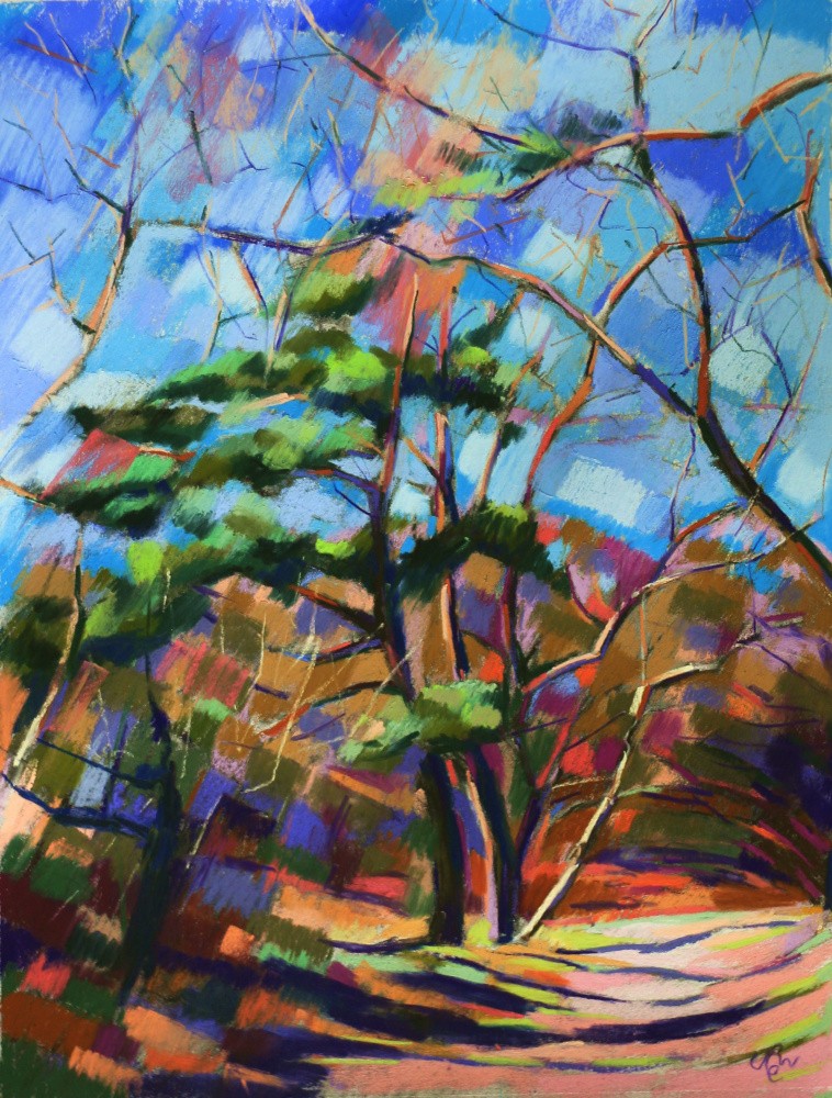 Meyendel - 20-12-15