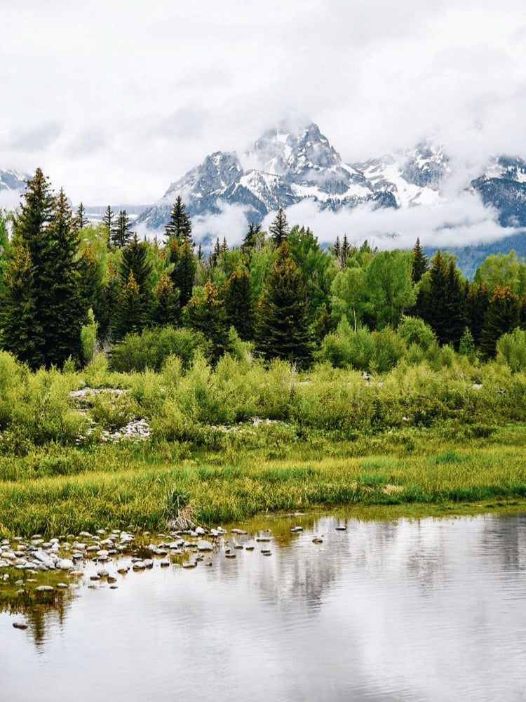 Schwabacher Landing Nebel
