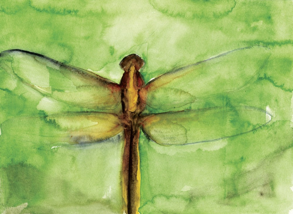 Dragonfly Watercolor Sketch