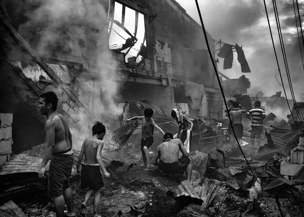 Rebirth in the Ashes