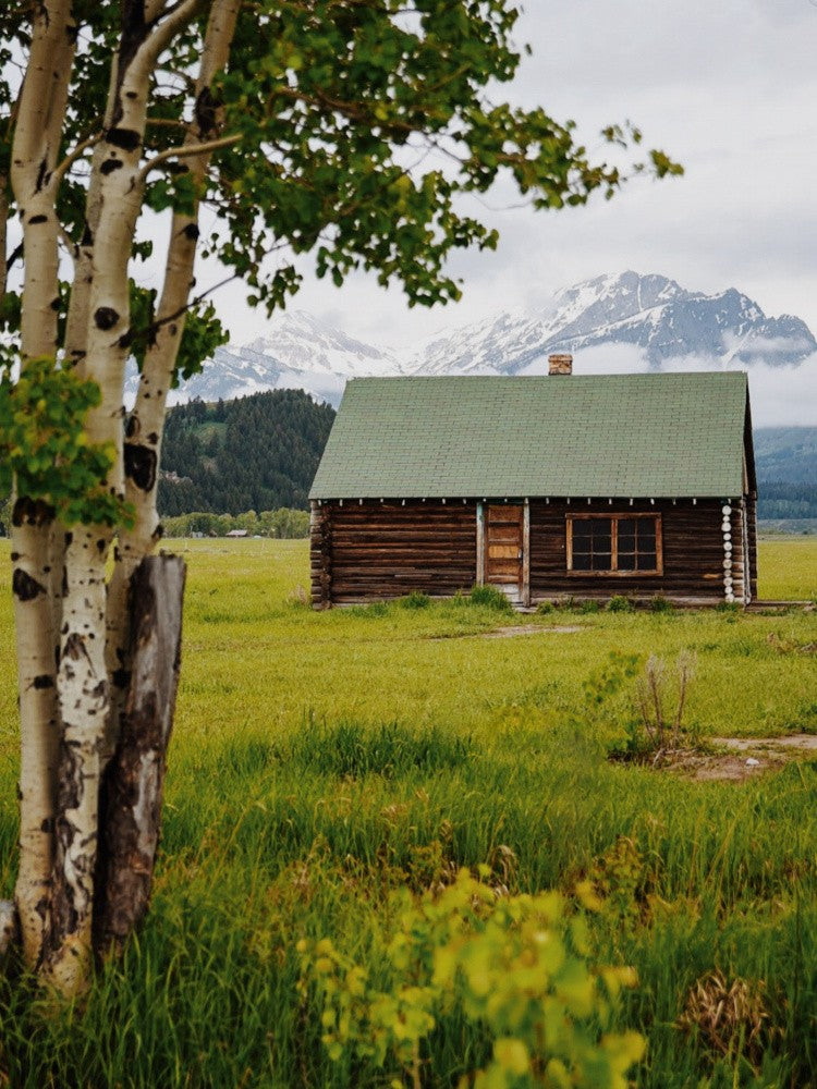 Mormon Row Cabin