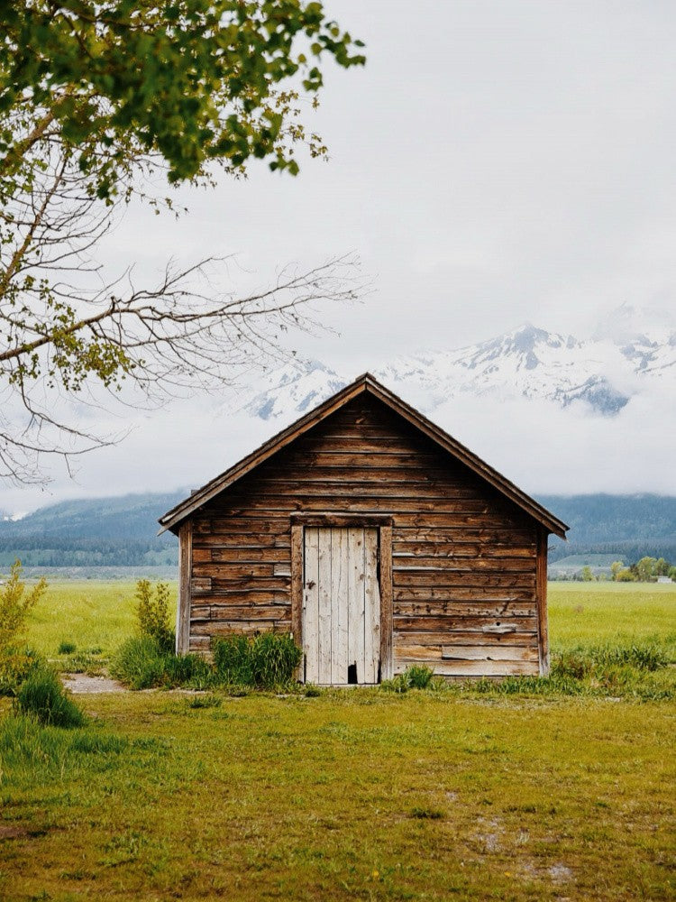 Mormon Row Cabin II
