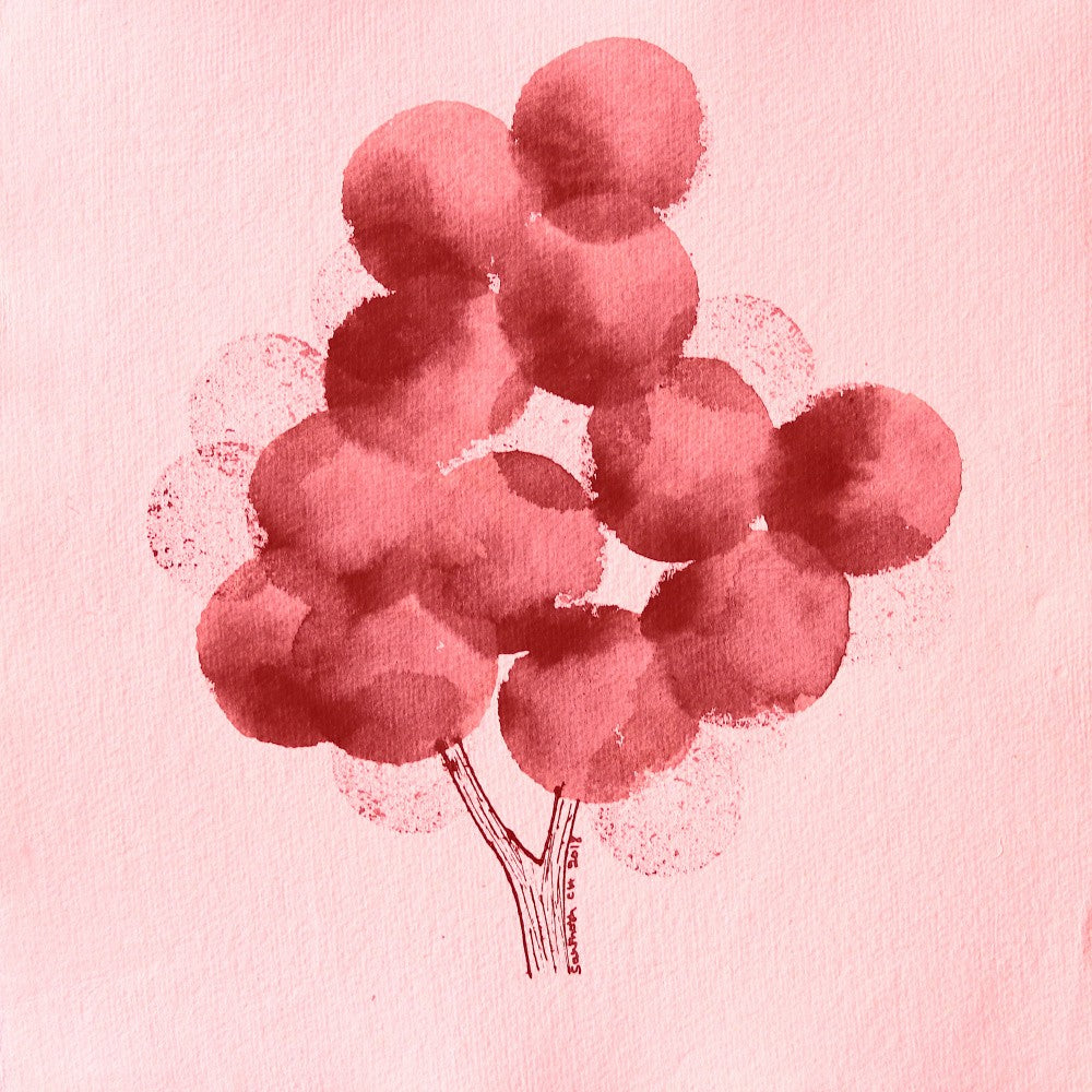 Nature Circle 24