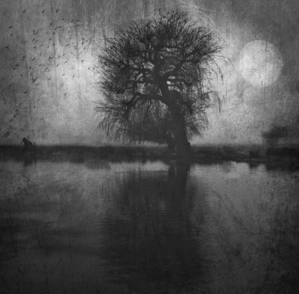The Lost Morning