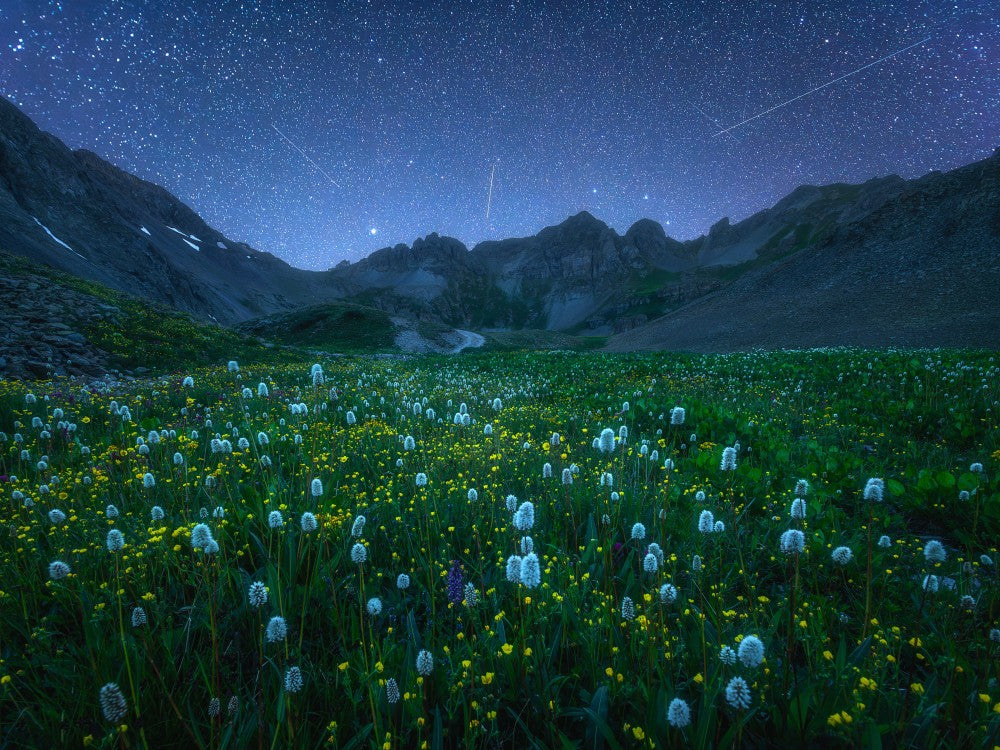 Valley of Wildflowers at Starry Night