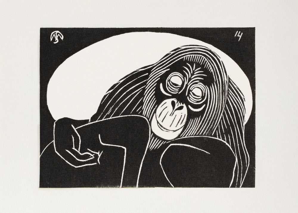 Orangutan