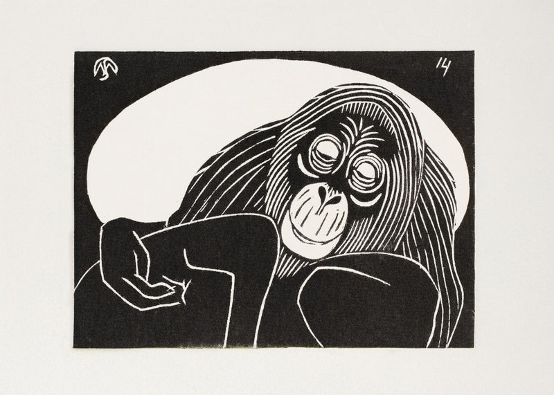 Orangutan