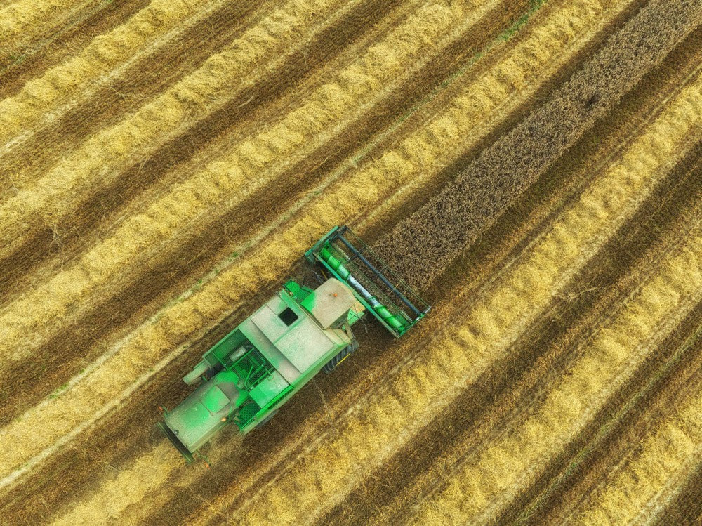 farming