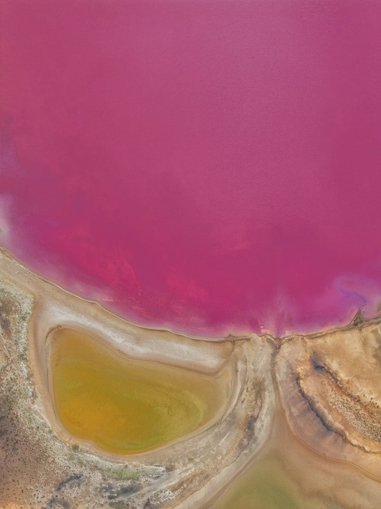 粉色星球的心脏