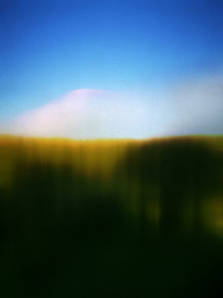 Harvest