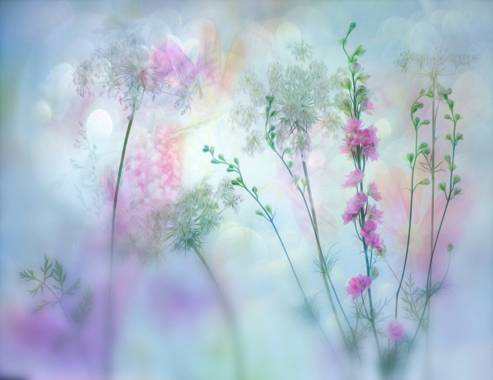 pastel