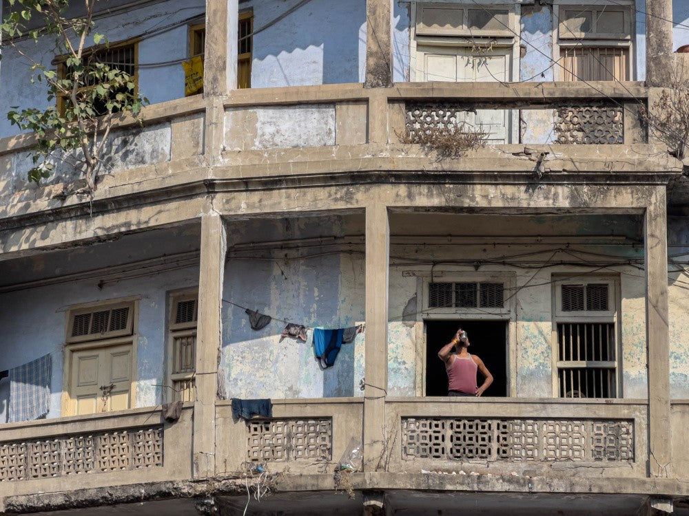 Life Between the Cracks
