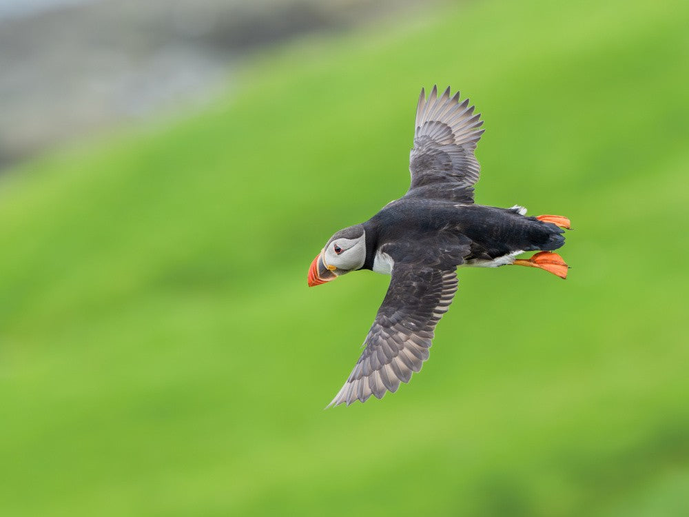 Flying by