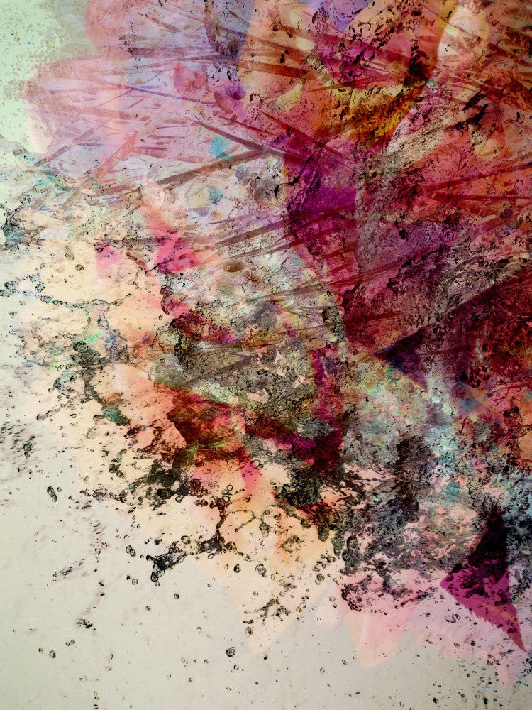 Summer Abstraction