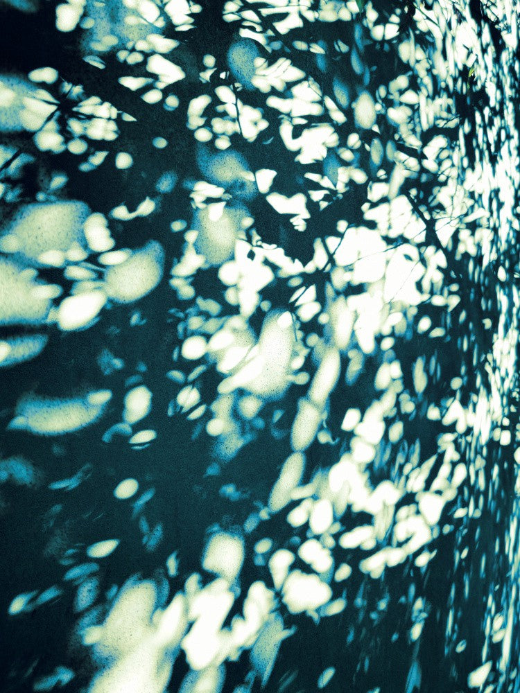 Wall Shadows 2