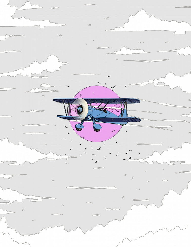 Bi Plane in the Sky