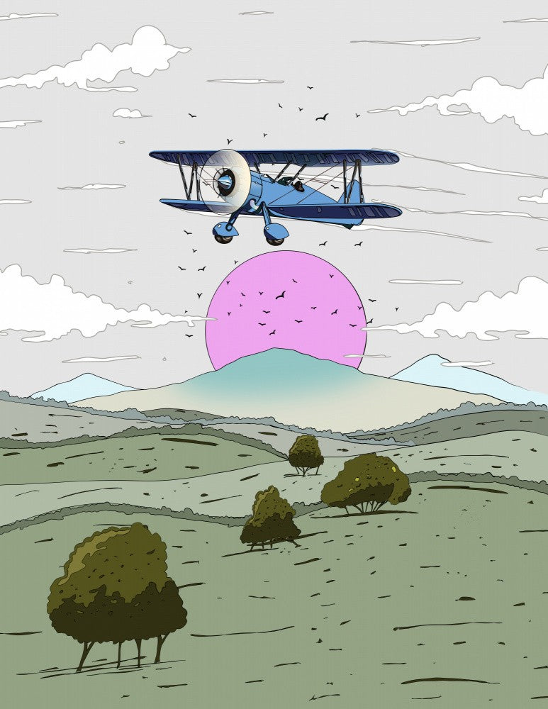Sunset Plane