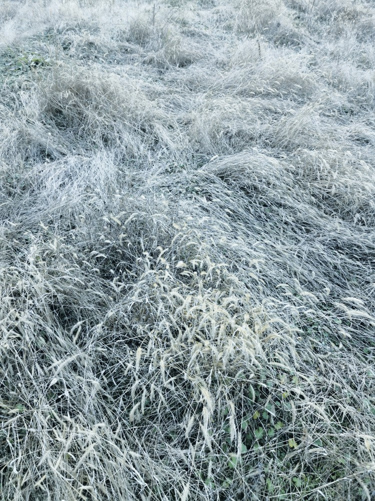 Wavefield 1