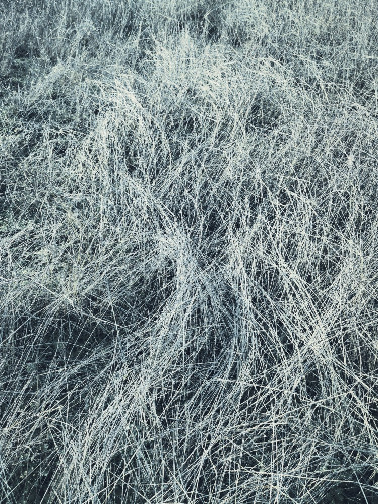 Wavefield 2