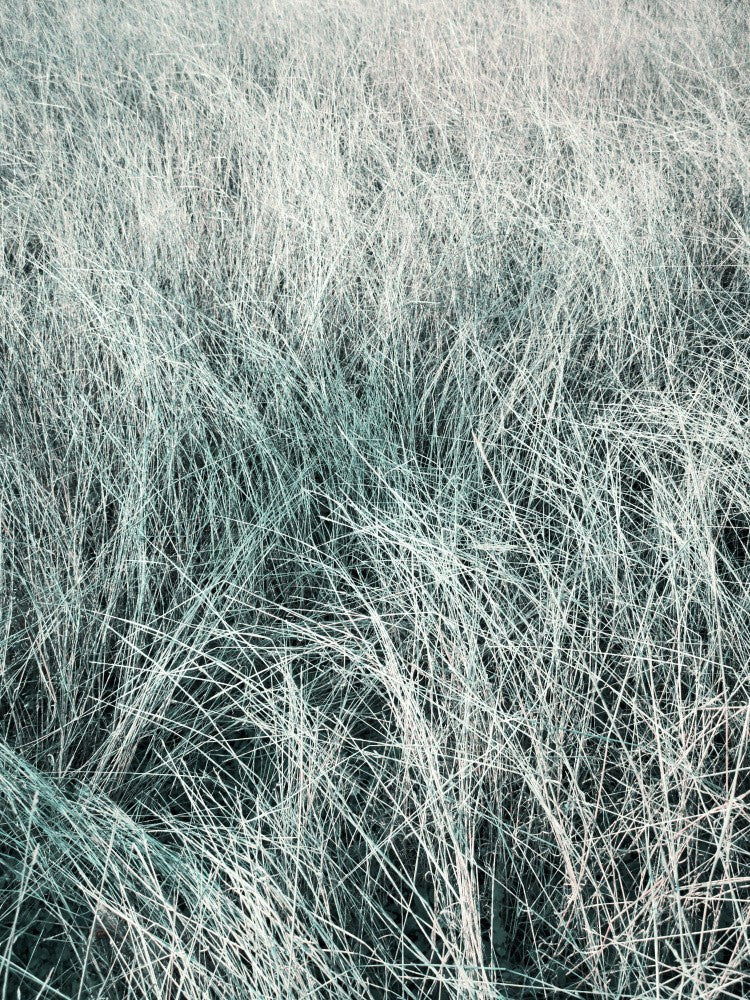 Wavefield 3