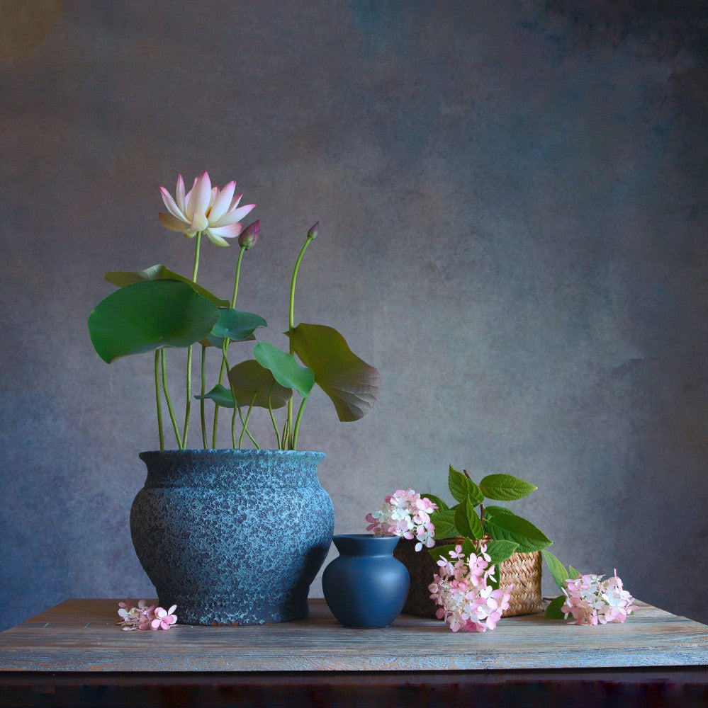 Lotus und Hortensie