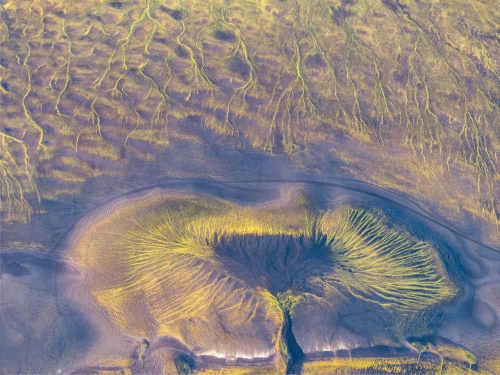 One Beautiful Eye