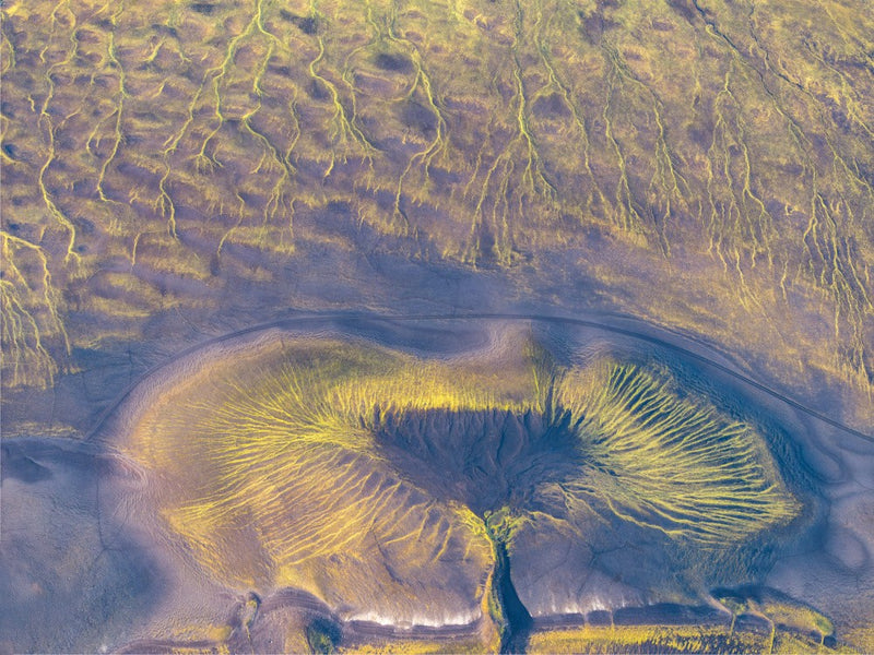 One Beautiful Eye