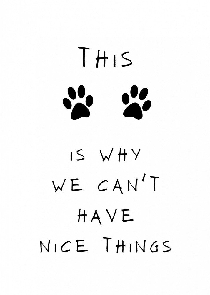 Can't have nice things