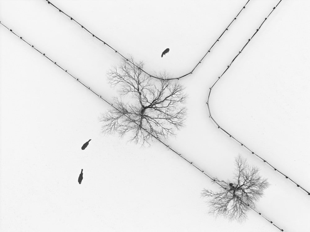 Farm land in winter