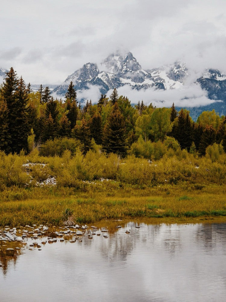 Schwabacher Landing Brume IV