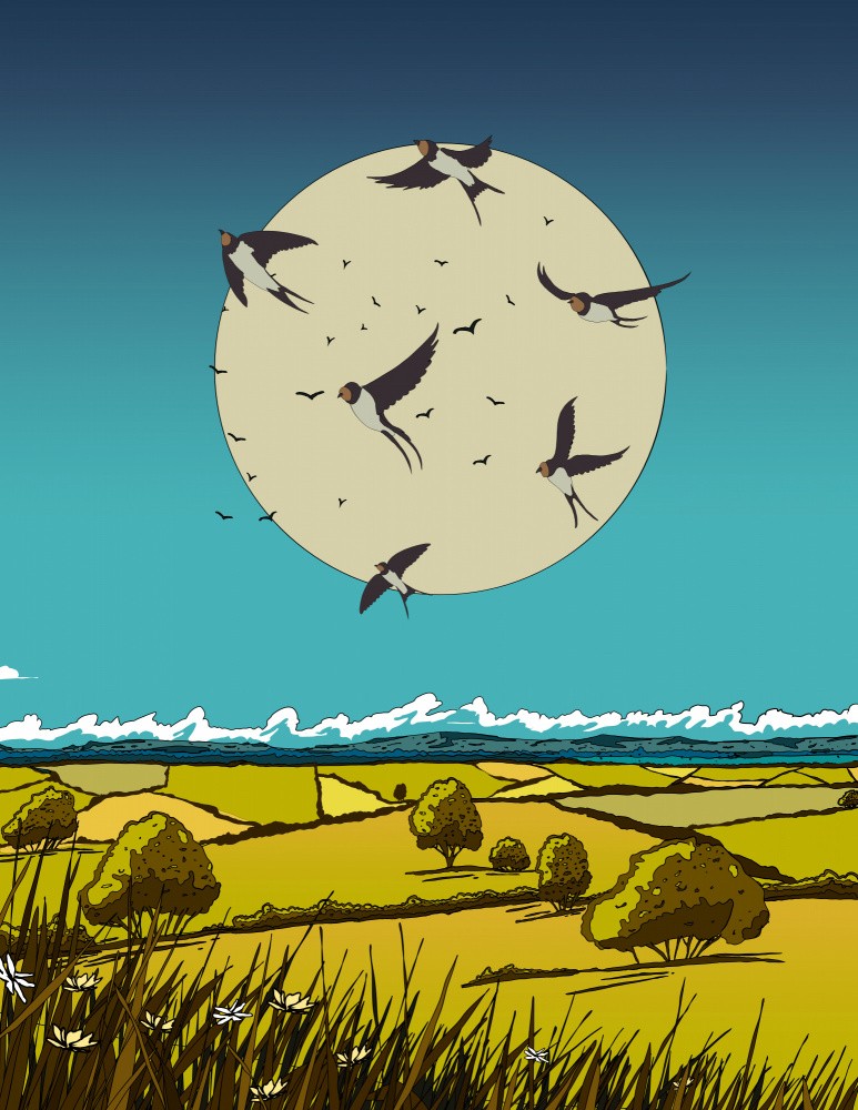Rural Countryside Landscape