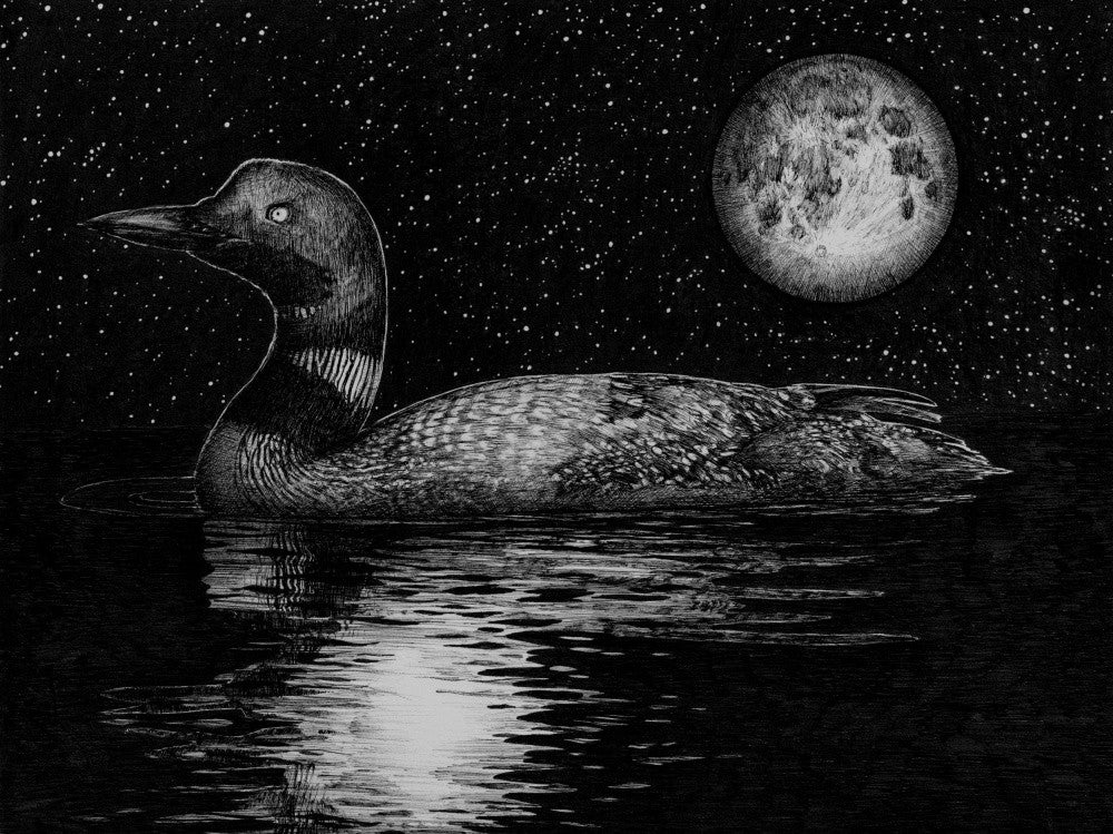 Loon By Moonlight Large
