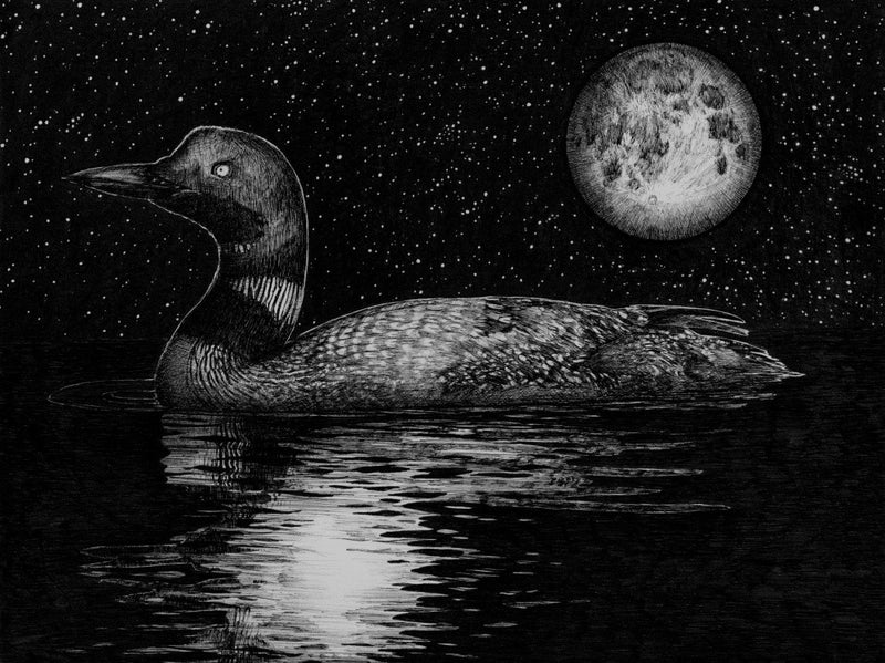 Loon By Moonlight Large