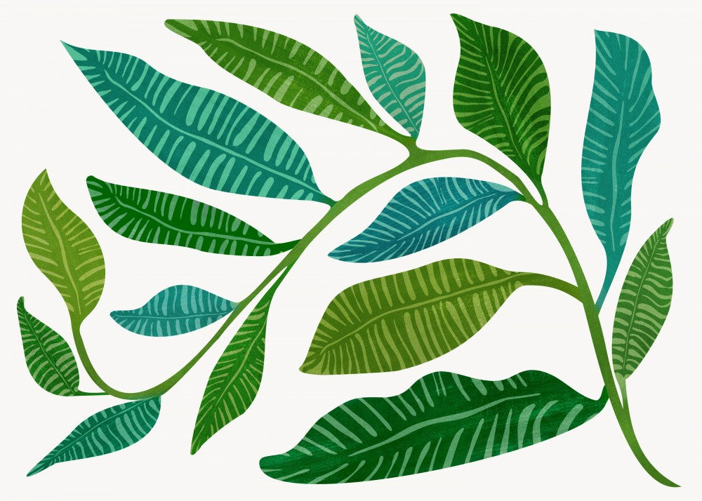 Lets Go Botanical
