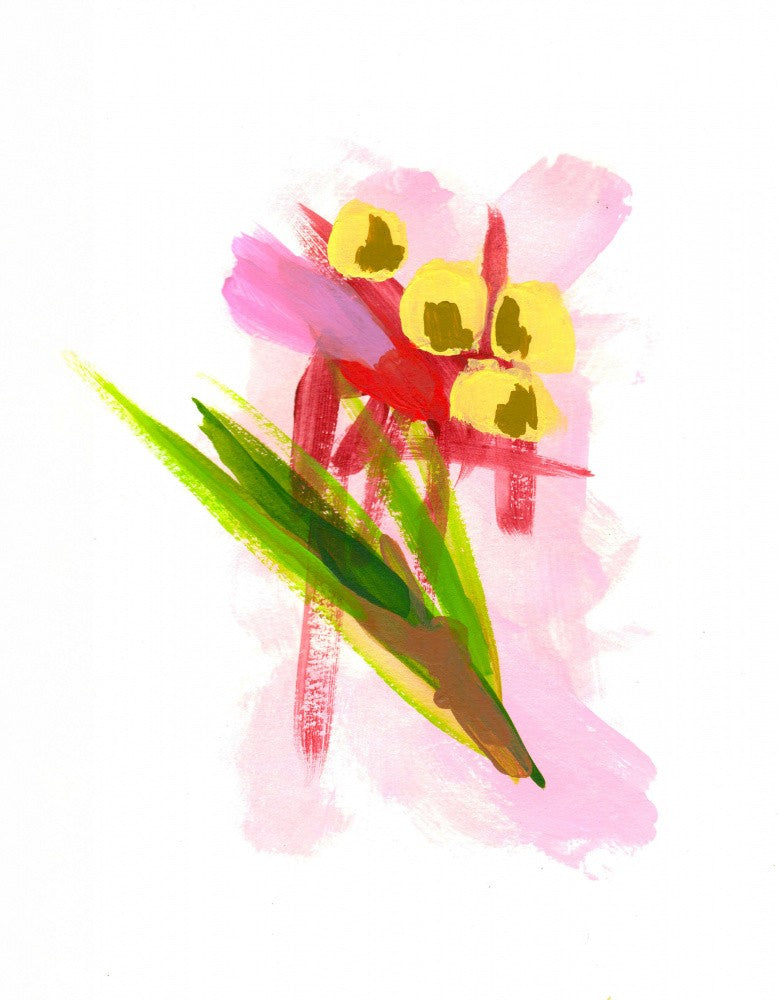 Orchid Hot Pink