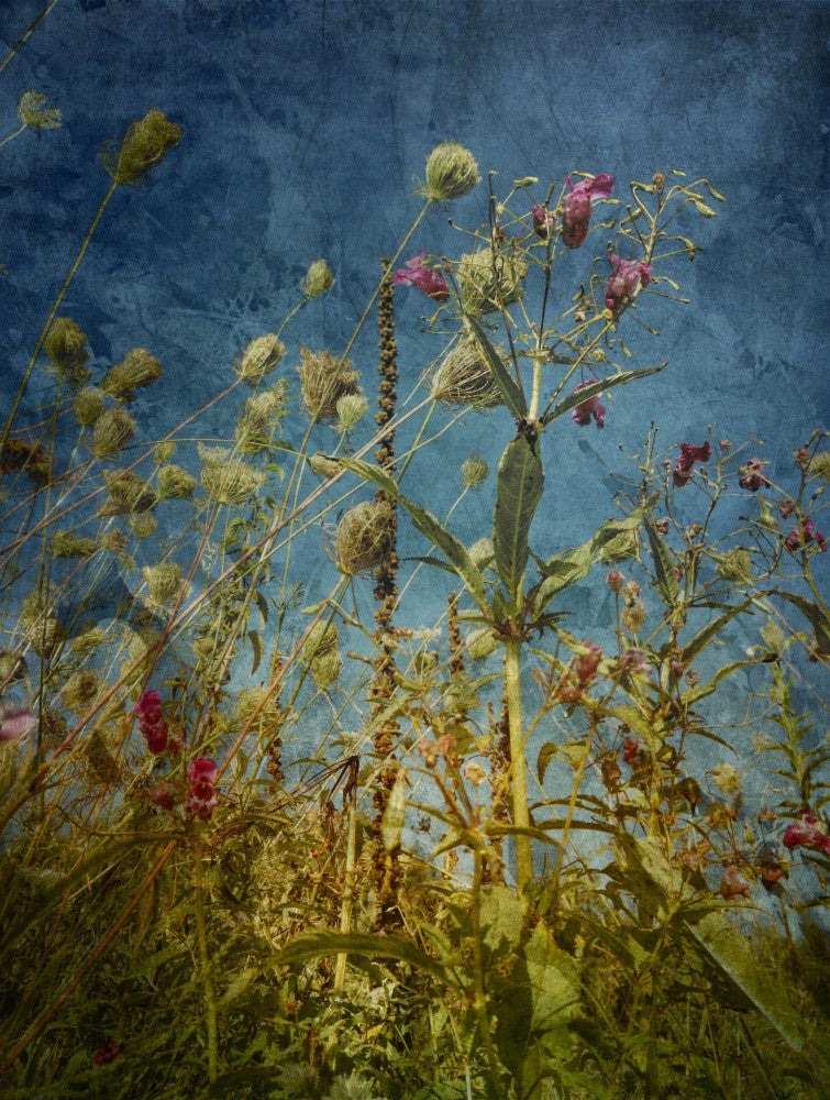 Heat Flowers