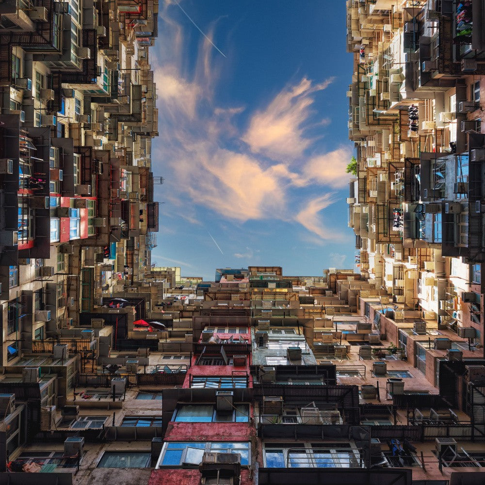 Monster Building morning.