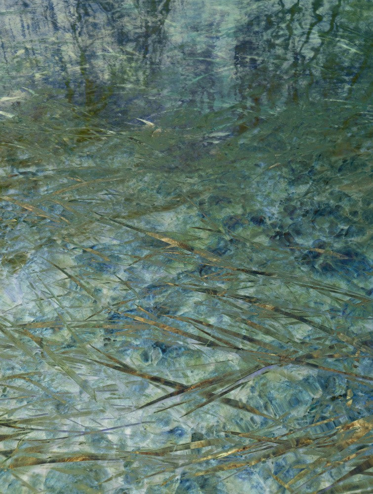 Painted Waters